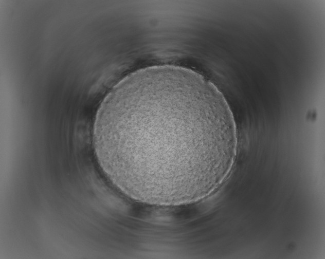 X0000110720182200906261504