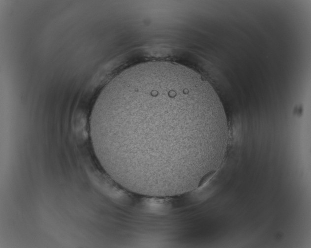 X0000110720187200906261504