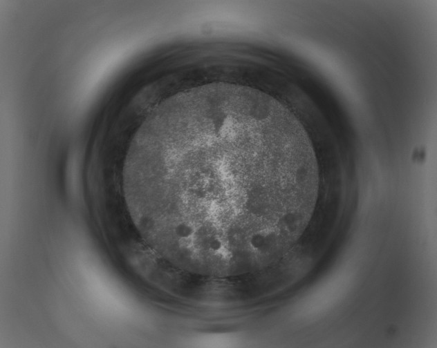 X0000110720189200906261504