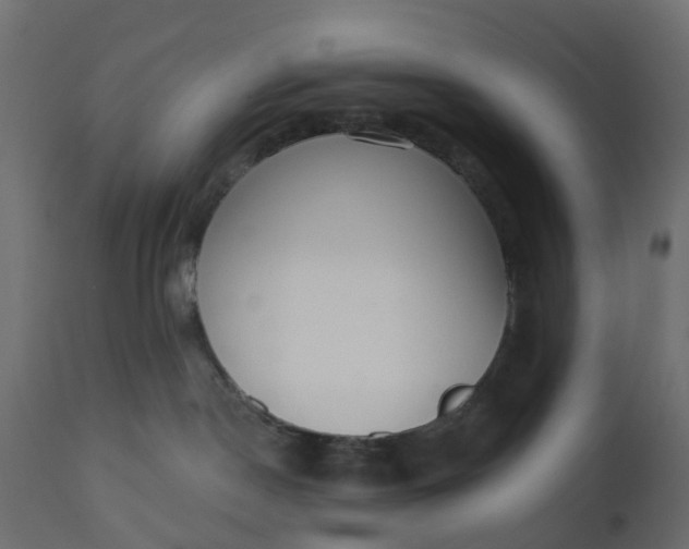 X0000110720190200906261504