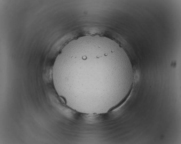 X0000110720191200906261504