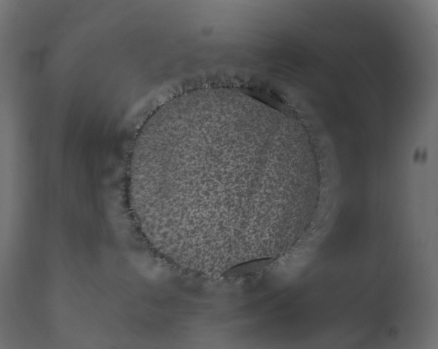 X0000110720192200906261504