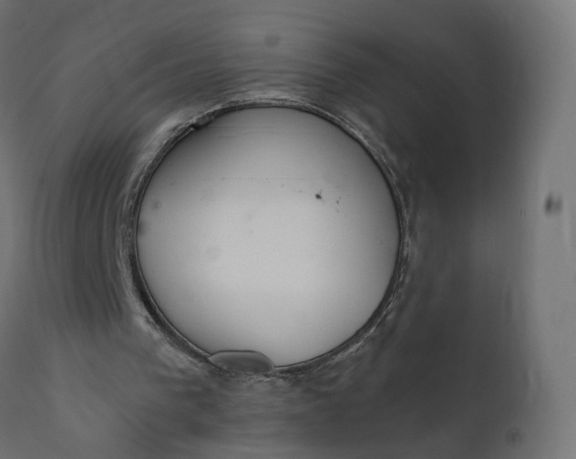 X0000110720193200906261503