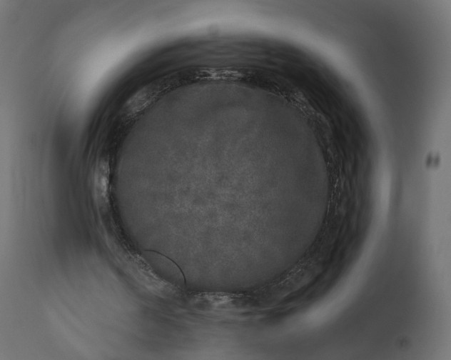 X0000110720194200906261503