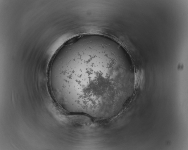 X0000110720195200906261503