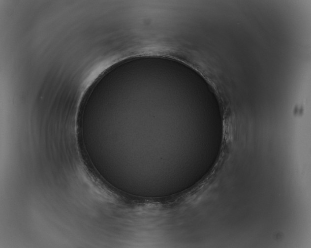 X0000110720196200906261503