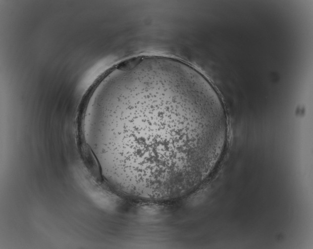 X0000110720199200906261503