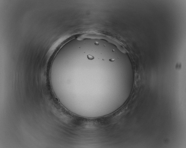 X0000110720200200906261503