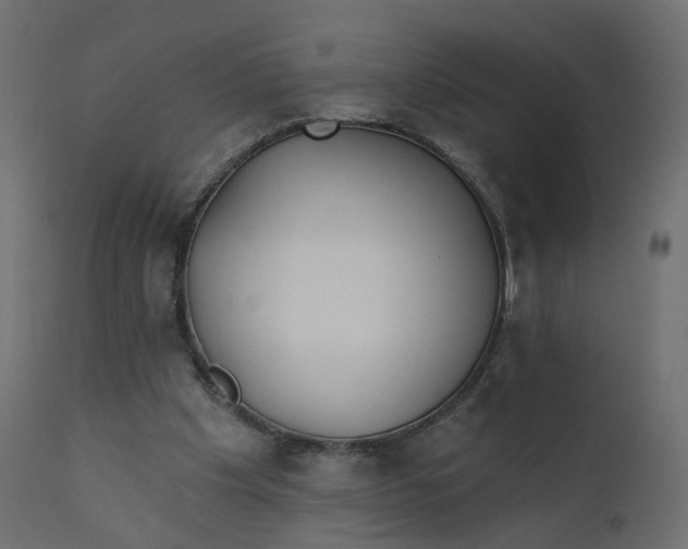 X0000110720201200906261503