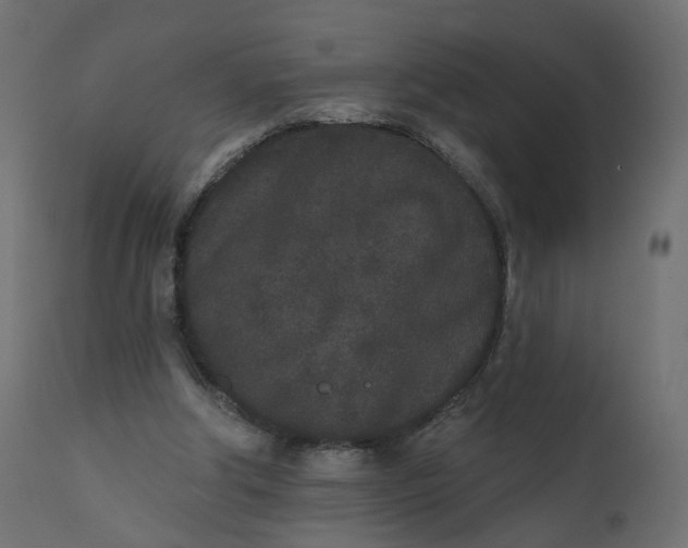 X0000110720202200906261503