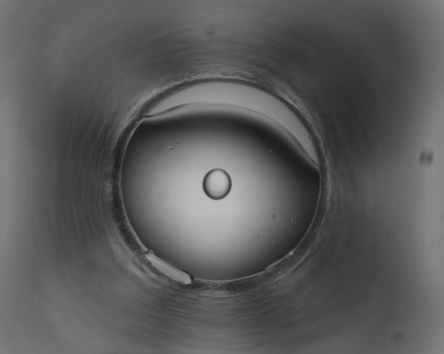 X0000110720203200906261503