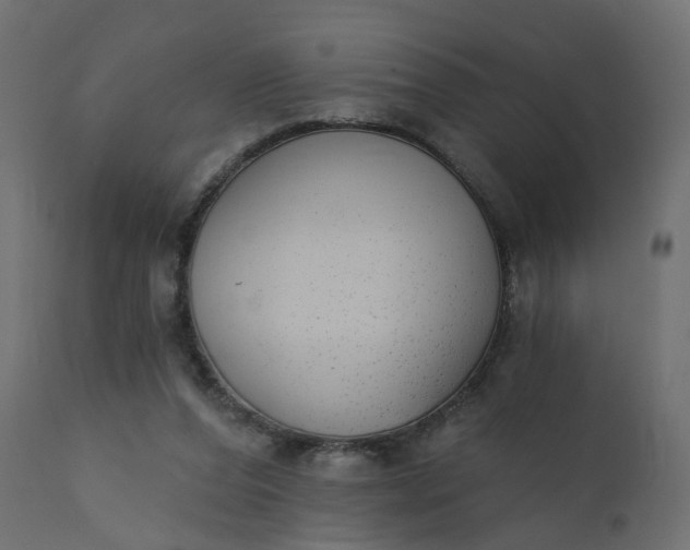 X0000110720208200906261503