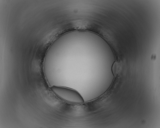 X0000110720209200906261503