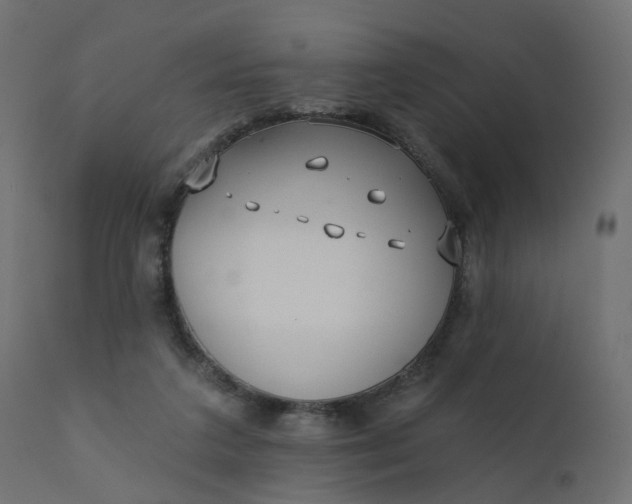 X0000110720211200906261503