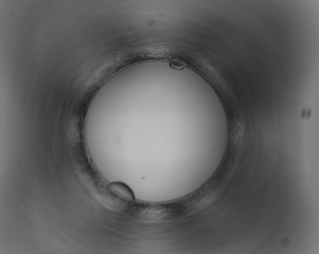 X0000110720213200906261503