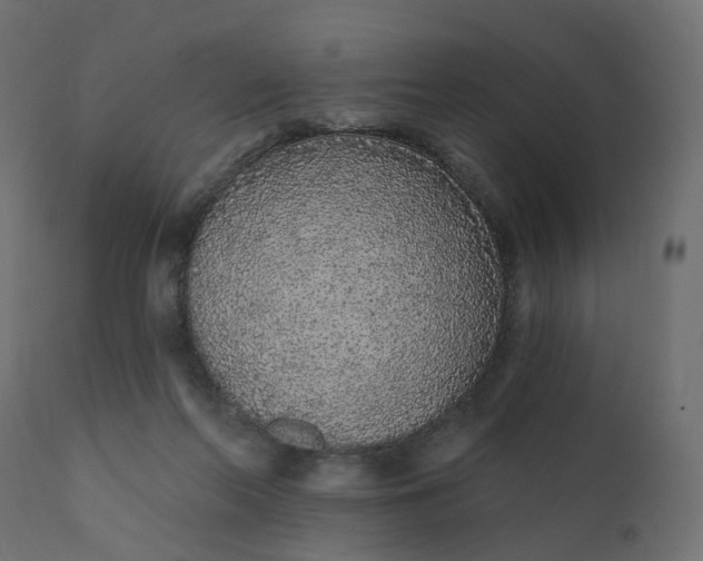 X0000110720214200906261503