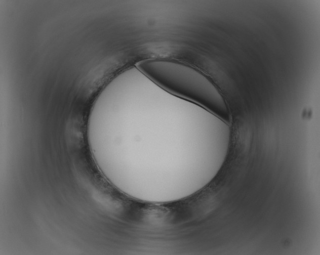 X0000110720215200906261503