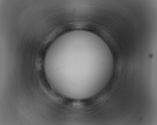 X0000110720216200906261503