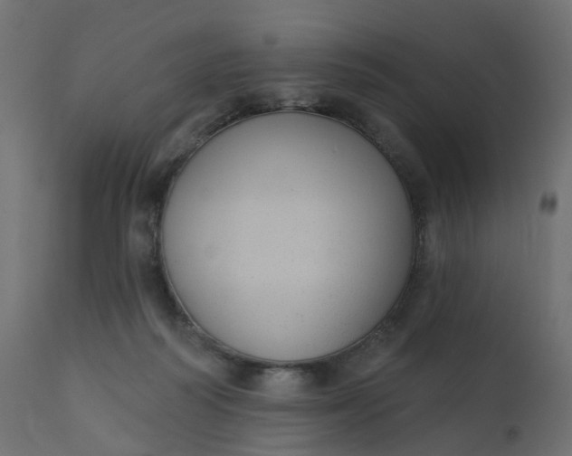 X0000110720218200906261503