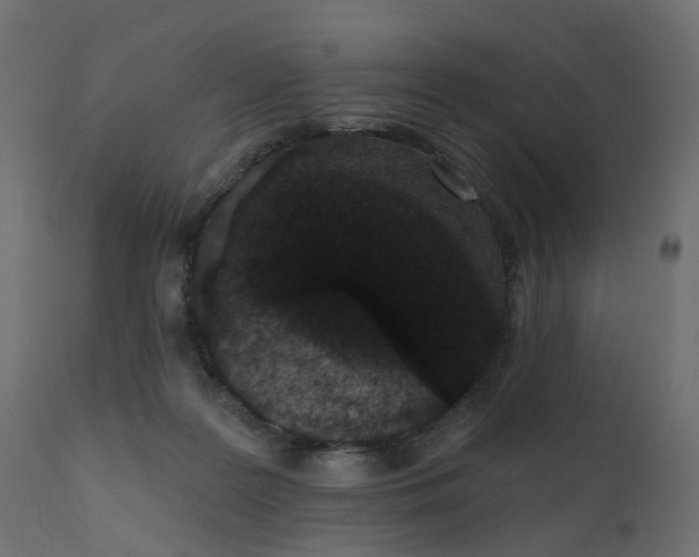 X0000110720219200906261503