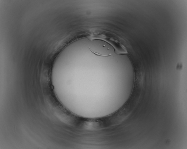 X0000110720220200906261503