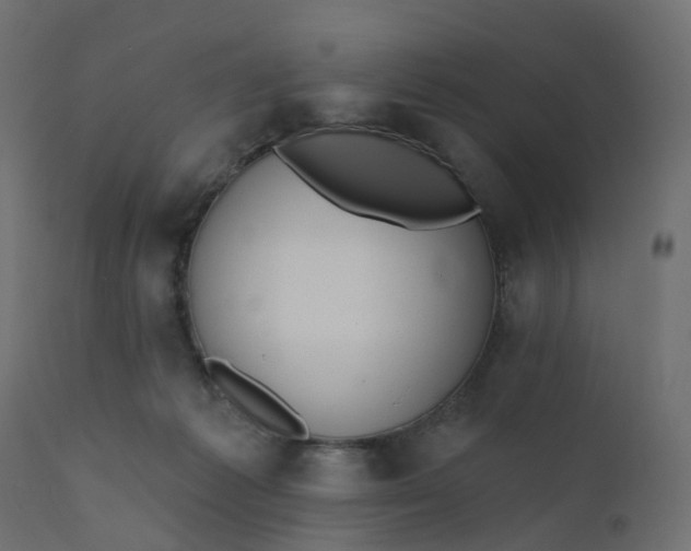 X0000110720221200906261503