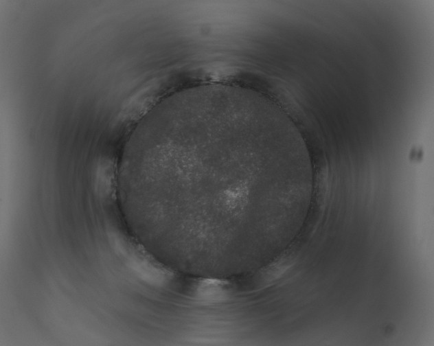 X0000110720222200906261503