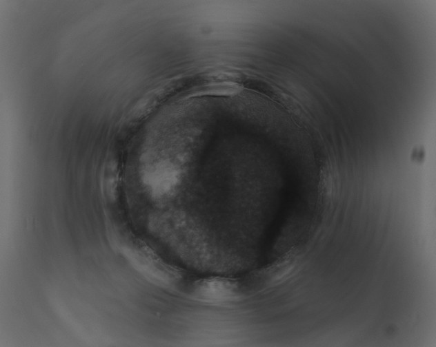 X0000110720223200906261503