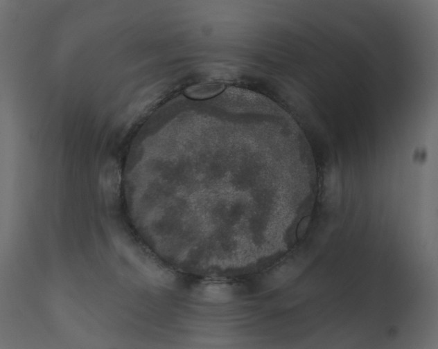 X0000110720228200906261503