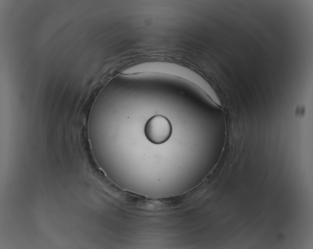 X0000110720229200906261503