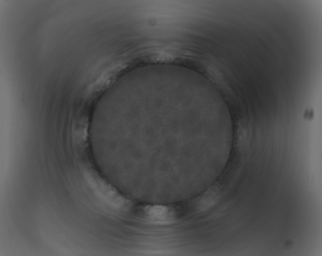 X0000110720230200906261503