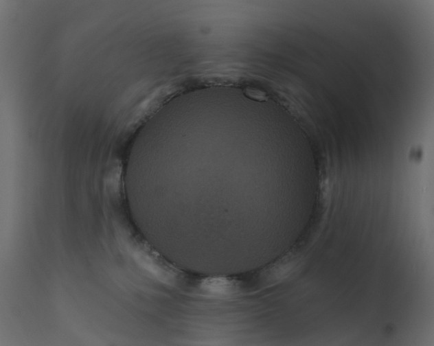 X0000110720231200906261503