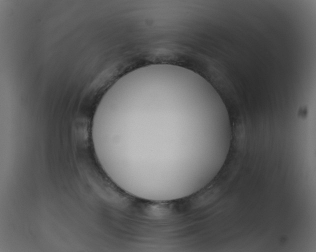 X0000110720232200906261503