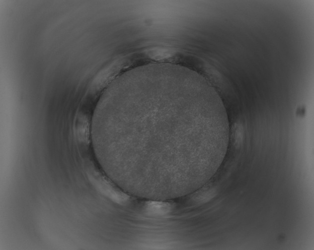 X0000110720234200906261503