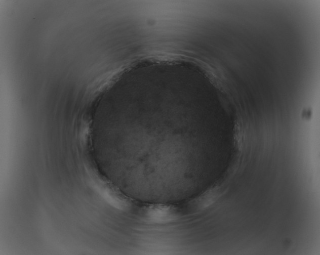 X0000110720235200906261503