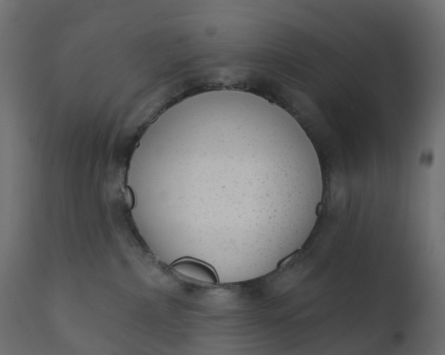 X0000110720236200906261503