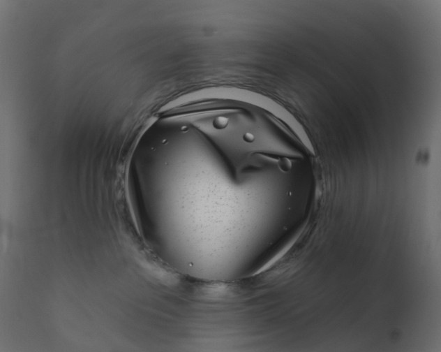 X0000110720237200906261503