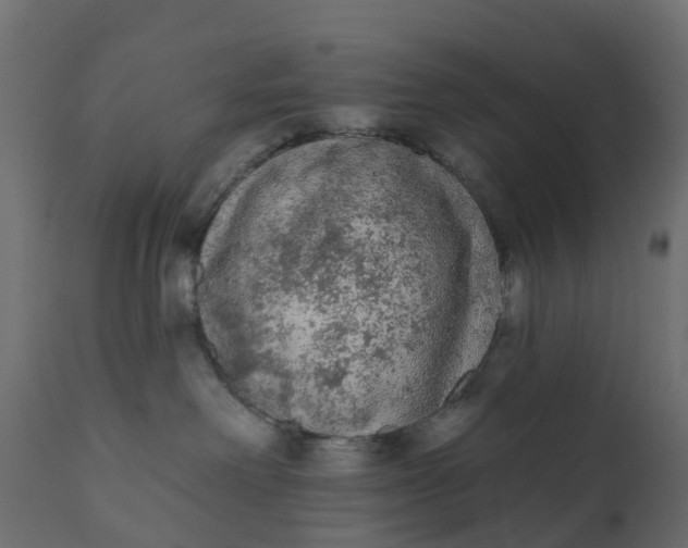 X0000110720238200906261503