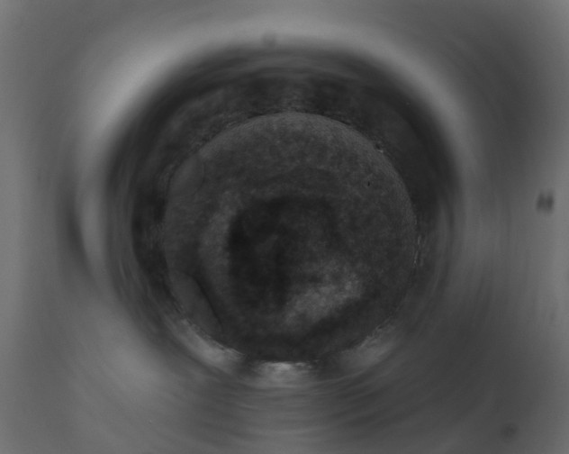 X0000110720239200906261503