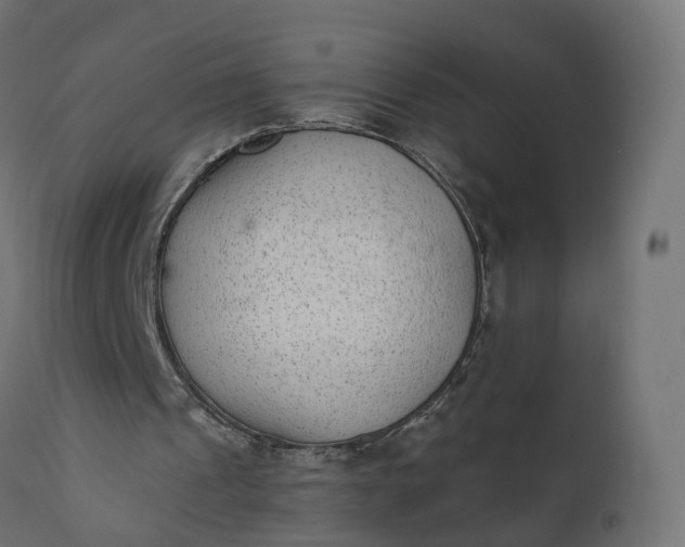 X0000110720241200906261502