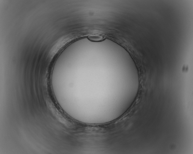 X0000110720242200906261502