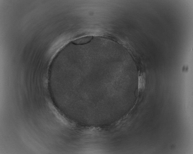 X0000110720243200906261502