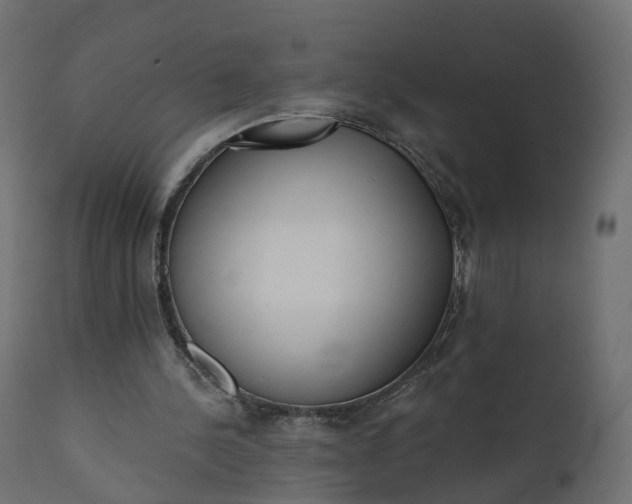 X0000110720244200906261502