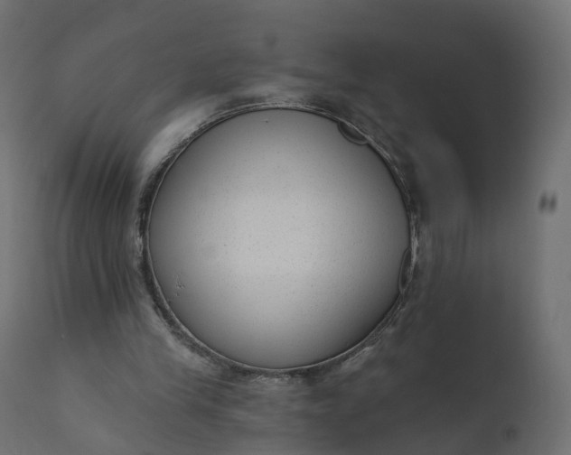 X0000110720245200906261502