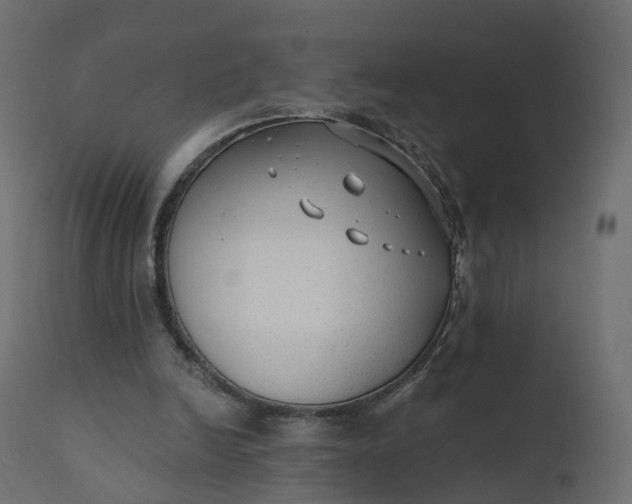 X0000110720246200906261502