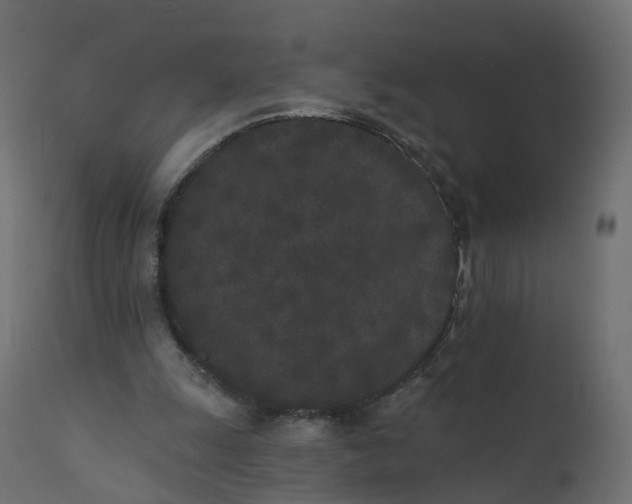 X0000110720247200906261502