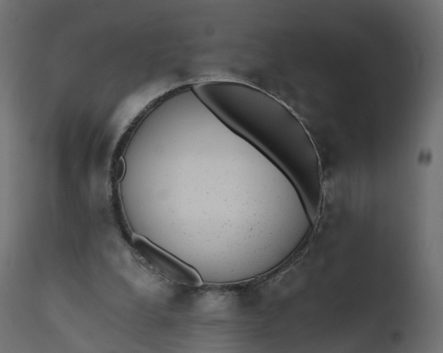 X0000110720248200906261502