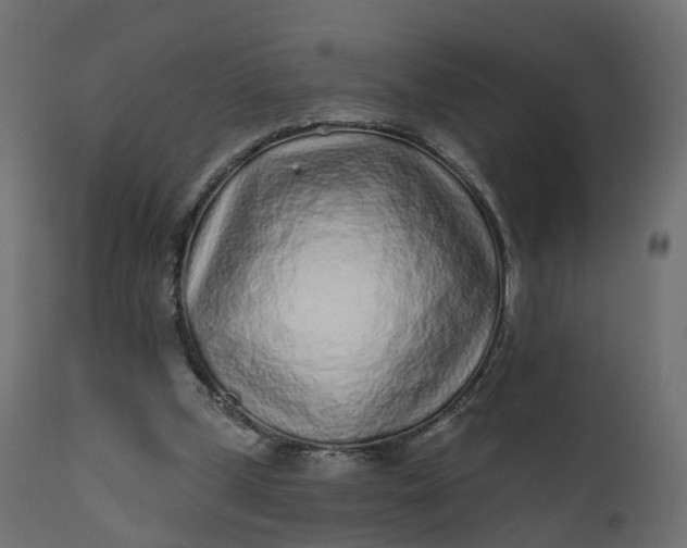 X0000110720249200906261502