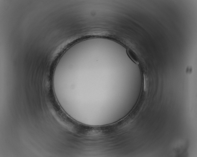 X0000110720252200906261502