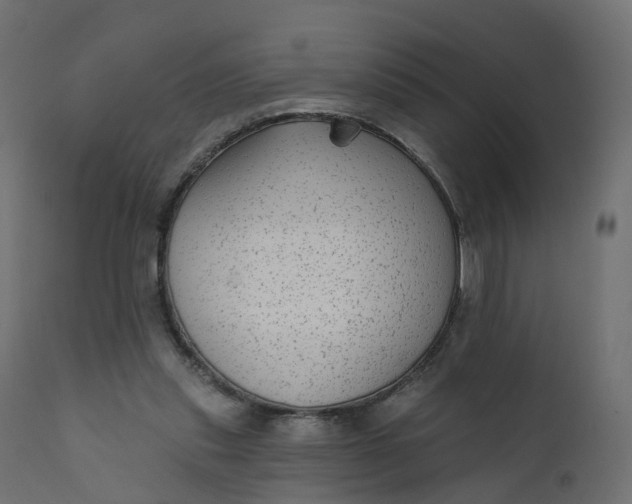 X0000110720253200906261502